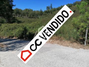 Terreno, Silvares, Pias, Nogueira e Alvarenga, Lousada