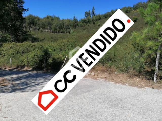 Terreno, Silvares, Pias, Nogueira e Alvarenga, Lousada