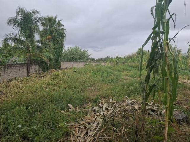 Terreno sin construccion llano de 10 de frente por 40mts