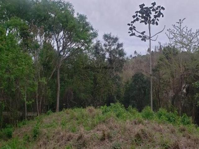 Terreno, Siriuba, Ilhabela, SP