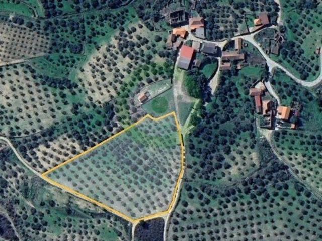 Terreno situado em Brunhais