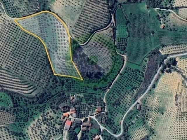 Terreno situado em Brunhais