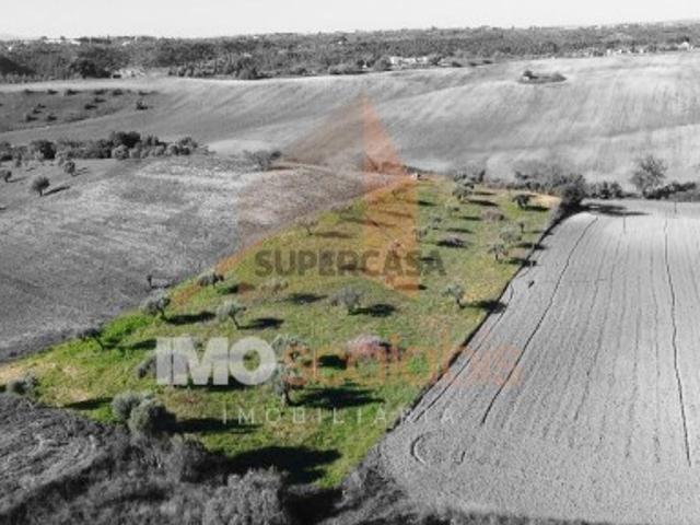 Terreno Situado em D. Belida, com 7400m²