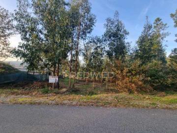 Terreno situado em S. Jorge de Vizela