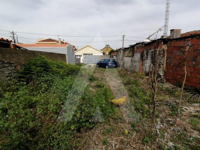 Terreno situado em Vagos!