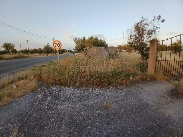 Terreno situado junto à estrada que liga Corval e Reguengos de Monsaraz