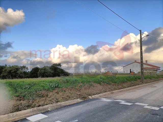 Terreno situado no concelho de Óbidos com 49.200m2