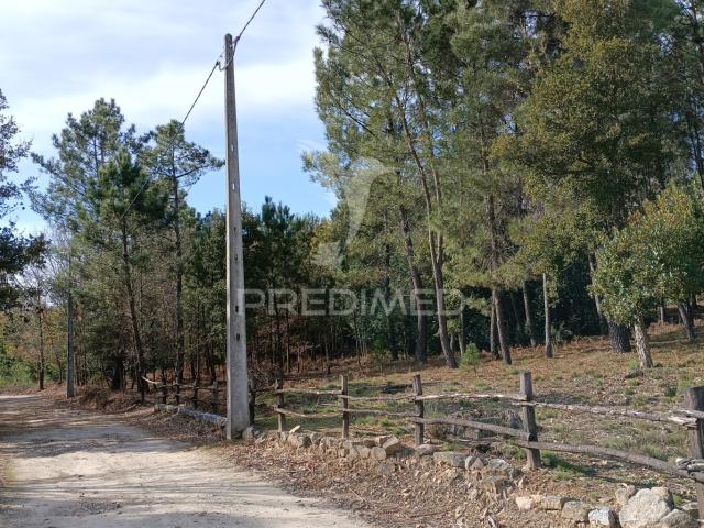 Terreno situado no Monte da Nossa Senhora do Castelo, Mangualde