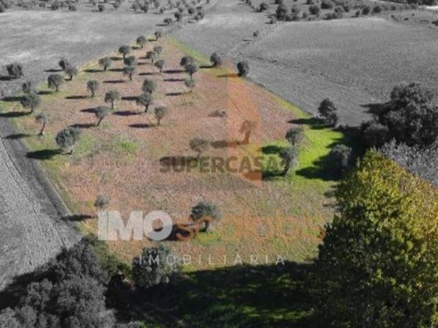 Terreno Situado na Azoia de Baixo