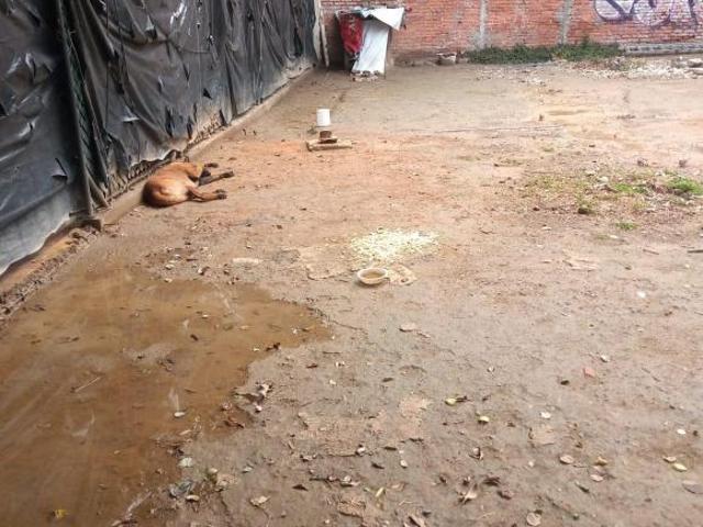 TERRENO SOBRE AVENIDA CONSTITUYENTES FRENTE AL BOSQUE DE CHAPULTEPEC