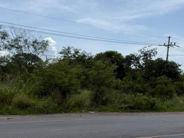 Terreno sobre Avenida en Venta en Kanas?n