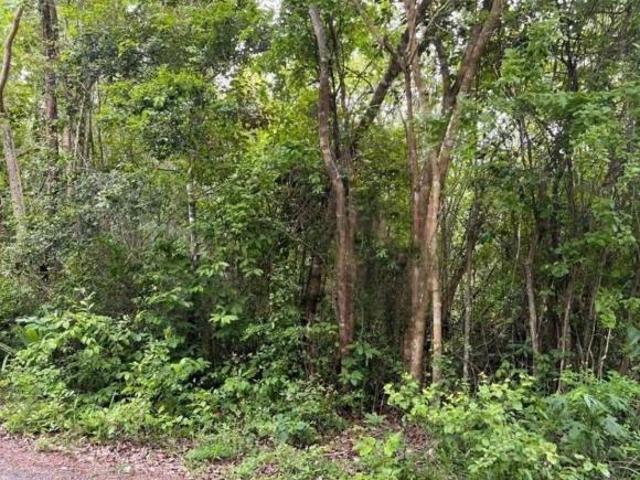 Terreno sobre carretera Tinum Yucatan 6.8Hectareas Propiedad privada