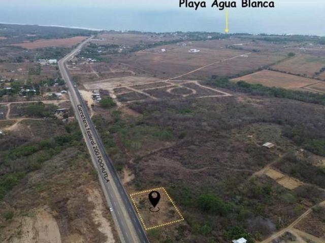 TERRENO SOBRE CARRETERA FEDERAL SANTA ELENA EL TULE