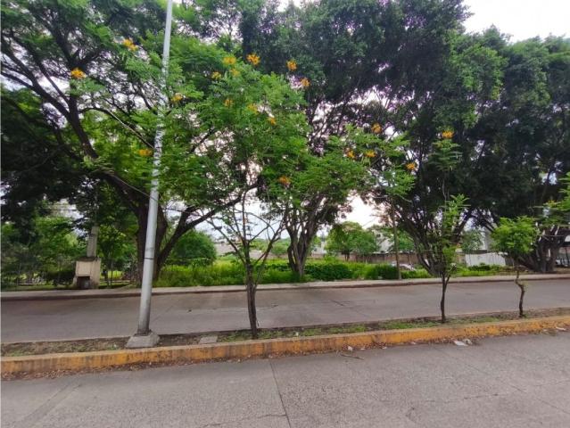 Terreno / Solar en venta Sahuayo de Morelos, Estado de Michoacán de Ocampo