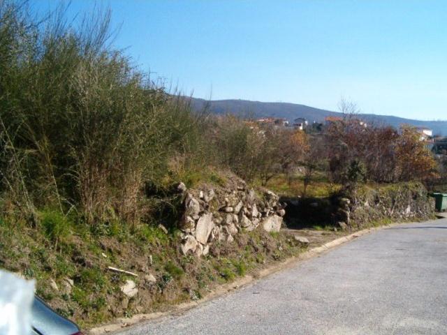 Terreno Sopo