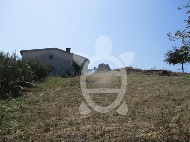 Terreno Soure