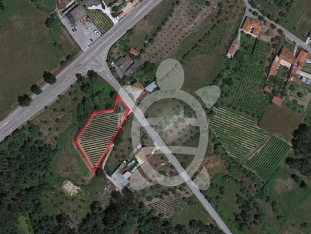 Terreno Soure