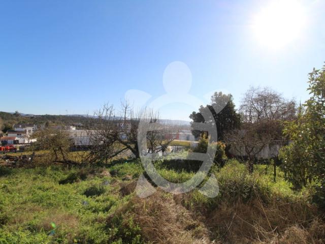 Terreno Soure