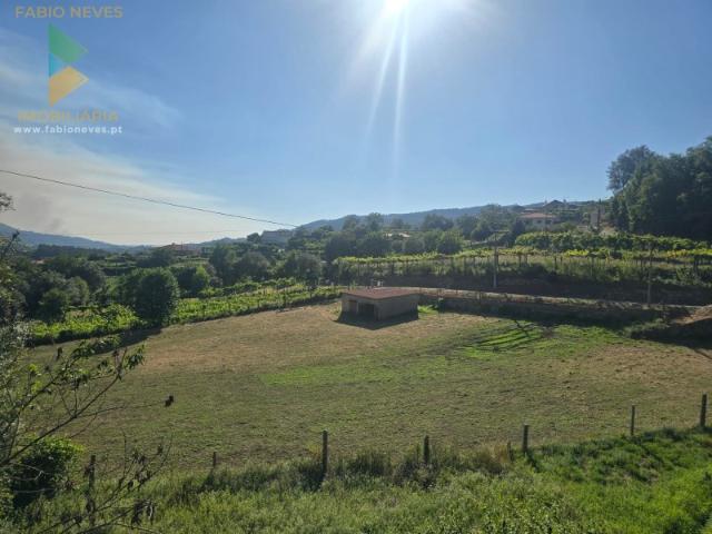 Terreno Souto
