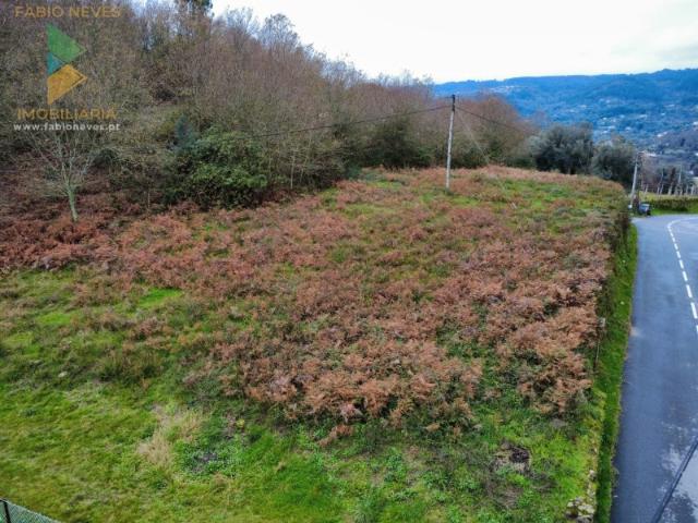 Terreno Souto