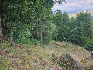 Terreno T0, Boelhe, Penafiel | BPI Expresso Imobiliário