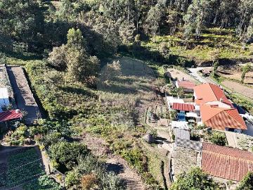 Penacova, Felgueiras, Felgueiras, Distrito de Porto