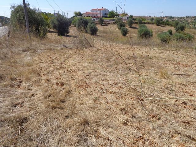 Terreno T1499/15