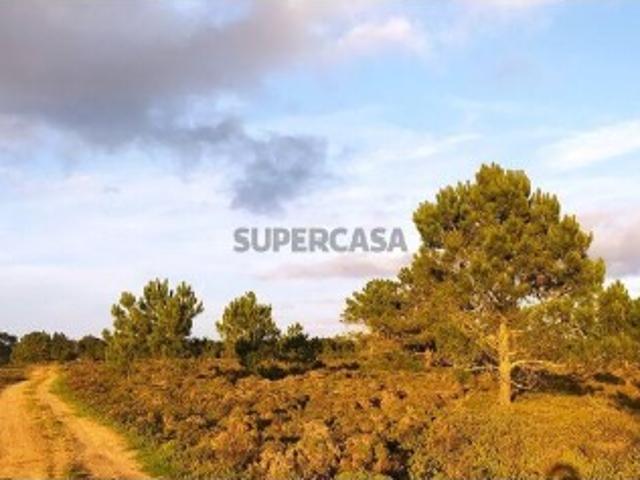 Terreno T1 em Vila do Bispo e Raposeira de 123840,00 m²