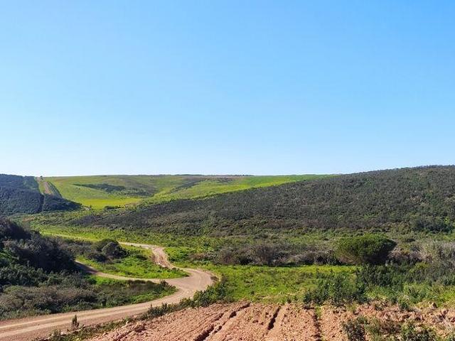 Terreno T1 em Vila do Bispo e Raposeira de 174170,00 m²