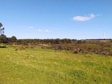 Terreno T1 em Vila do Bispo e Raposeira de 235534,00 m²