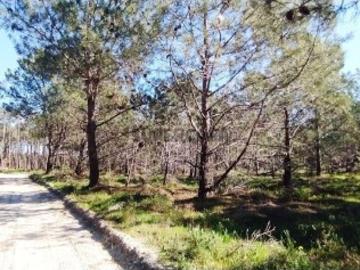 Terreno T1 em Vila do Bispo e Raposeira de 344887,00 m²