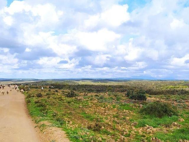 Terreno T1 em Vila do Bispo e Raposeira de 715460,00 m²