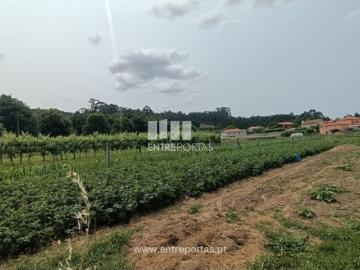 Terreno T1, Vitorino Das Donas, Ponte de Lima | BPI Expresso Imobiliário