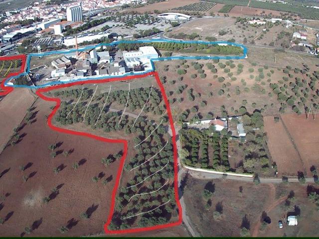 Terreno T22 em Moura Santo Agostinho e São João Baptista e Santo Amador de 72125,00 m²