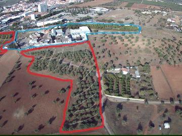 Terreno T22 em Moura Santo Agostinho e São João Baptista e Santo Amador de 72125,00 m²