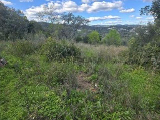 Terreno T3 em São Brás de Alportel de 256,00 m²