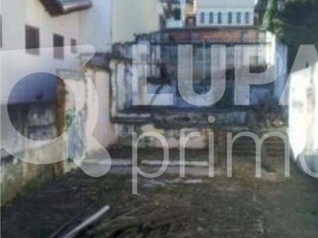 TERRENO TUCURUVI