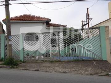 TERRENO TUCURUVI