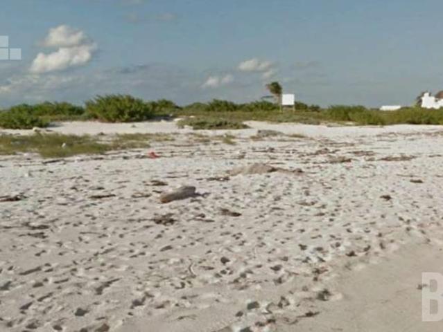 Terreno tur?stico ecol?gico frente al mar en Puerto Morelos