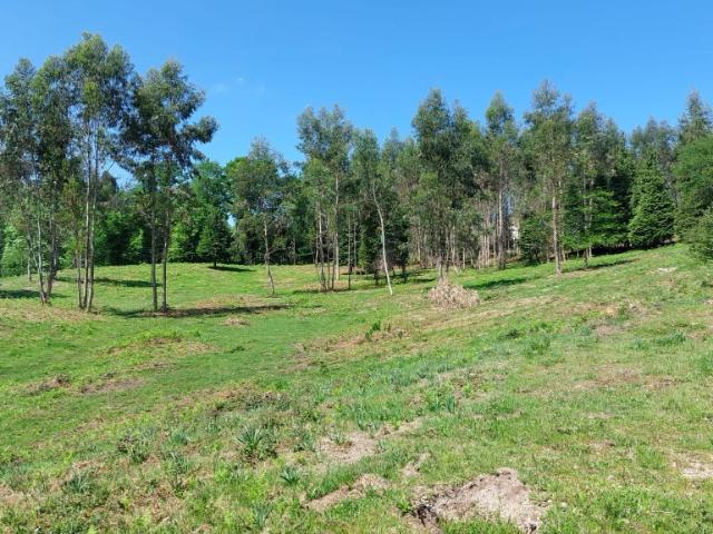 Terreno Tabuaças