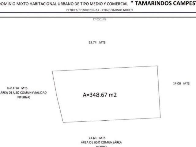 Terreno Tamarindos