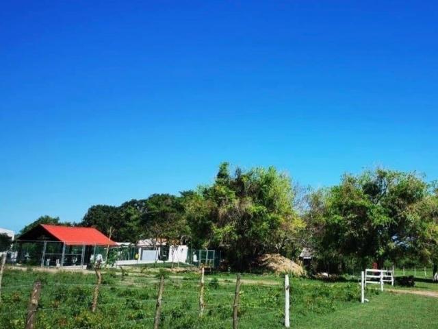 Terreno Tampico Alto