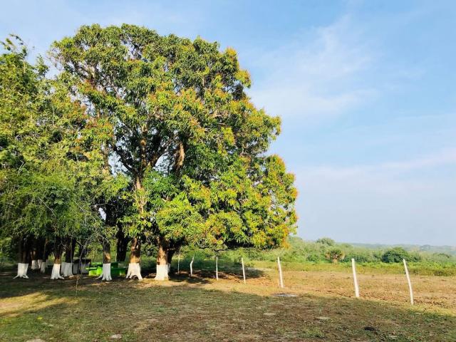Terreno Tampico Alto