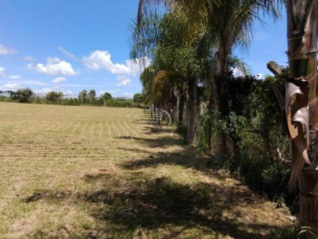 Terreno, Taruma, Espumoso, RS