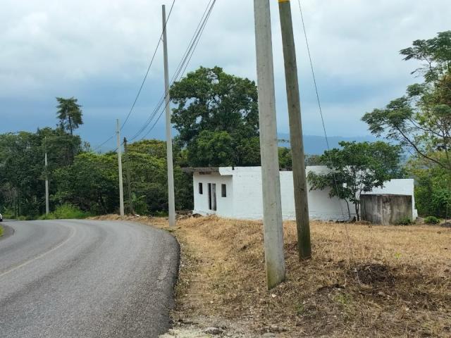 Terreno Teocelo