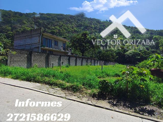 Terreno Tenango de Rio Blanco Centro