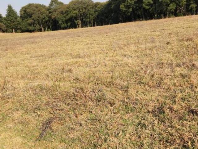 Terreno Tepexoyuca