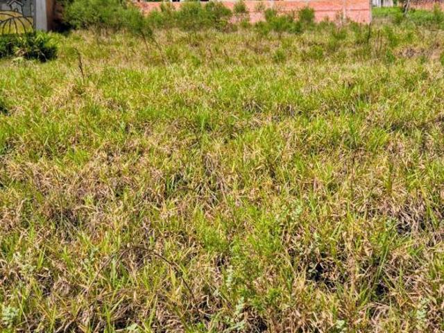 Terreno, Terreno 1000m2 Morada do Sol Sarapuí/sp, Sarapuí, SP
