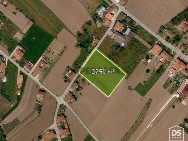 Terreno Venda em Louriçal,Pombal