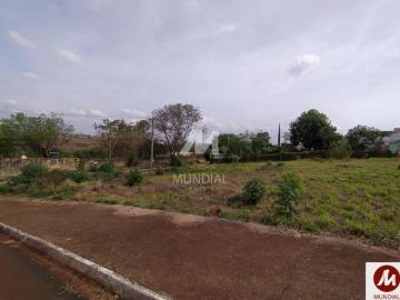 Terreno terreno normal